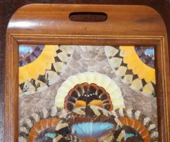 Pamono Vintage Brazilian Inlaid Wood Tray with Real Morpho Butterfly Wings><noscript><img width=
