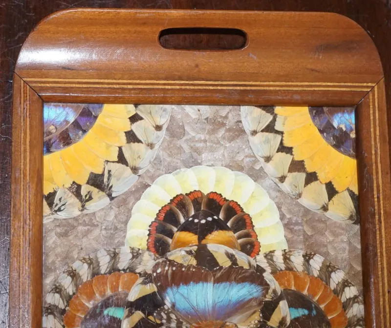Pamono Vintage Brazilian Inlaid Wood Tray with Real Morpho Butterfly Wings> Trays