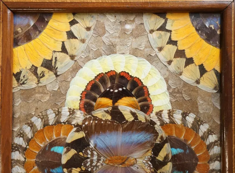 Pamono Vintage Brazilian Inlaid Wood Tray with Real Morpho Butterfly Wings> Trays