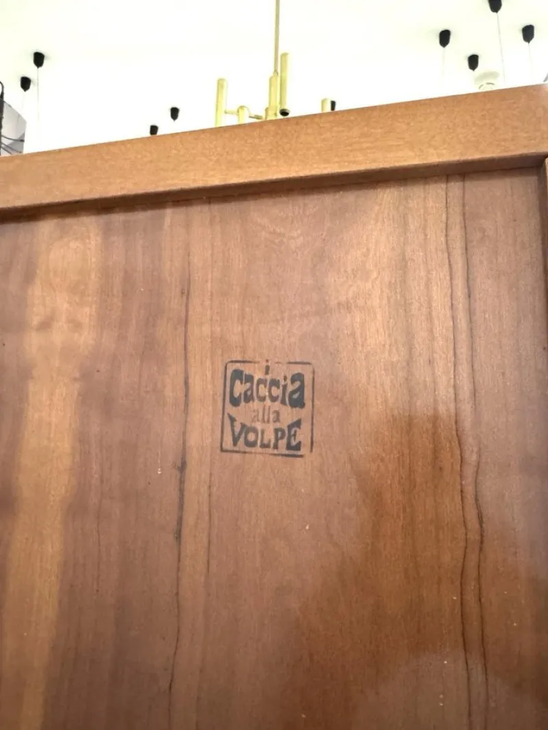 Pamono Vintage Cabinet by Fabrizio Poldaretti, 1970s> Cabinets & Wardrobes