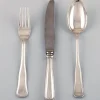 Sale Pamono Vintage Danish Silver Cutlery Set from Cohr, Set of 18