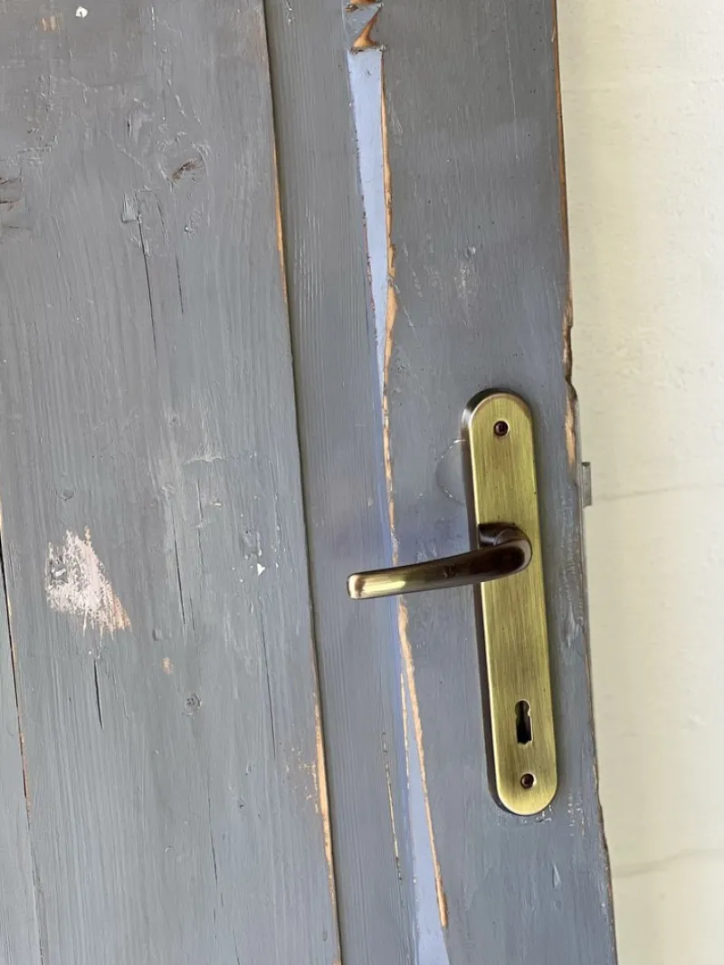 Pamono Vintage Door in Pine> Architectural Elements