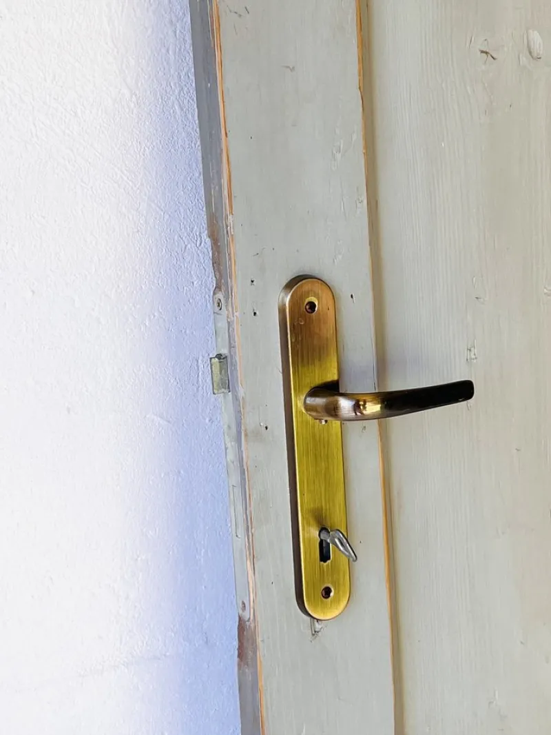 Pamono Vintage Door in Pine> Architectural Elements
