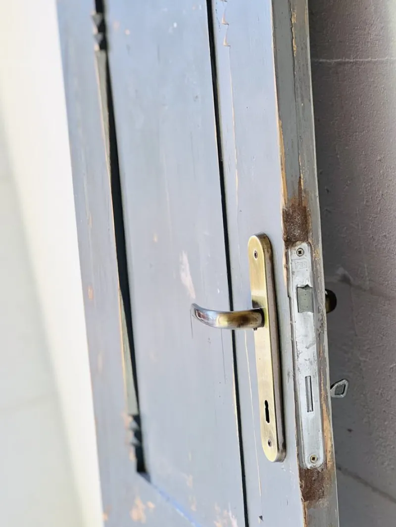Pamono Vintage Door in Pine> Architectural Elements