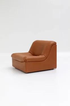 Pamono Vintage DS46 Modular Leather Sofa from De Sede, 1970s, Set of 5> Couches & Sofas