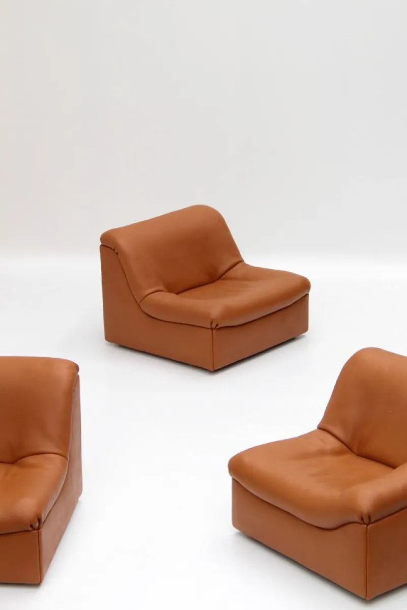 Pamono Vintage DS46 Modular Leather Sofa from De Sede, 1970s, Set of 5> Couches & Sofas