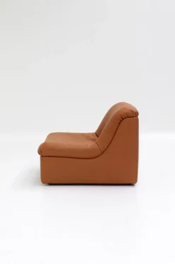 Pamono Vintage DS46 Modular Leather Sofa from De Sede, 1970s, Set of 5><noscript><img width=