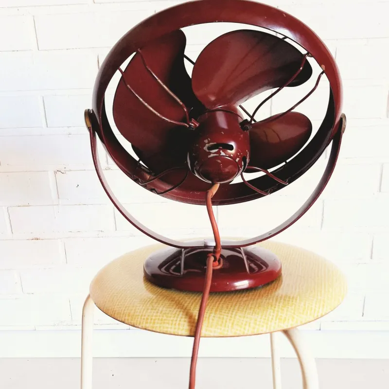 New Pamono Vintage Fan F 251 from Siemens, 1950s