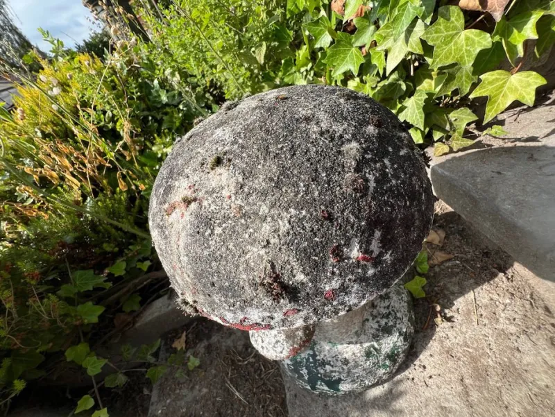 Pamono Vintage French Concrete Stone Garden Mushroom, 1950s> Garden Accessories