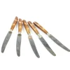 Clearance Pamono Vintage German Bakelite Knives, 1950s, Set of 5