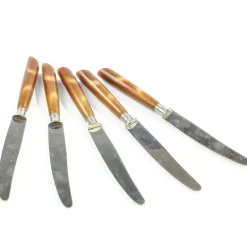 Clearance Pamono Vintage German Bakelite Knives, 1950s, Set of 5
