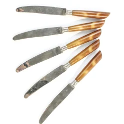 Clearance Pamono Vintage German Bakelite Knives, 1950s, Set of 5