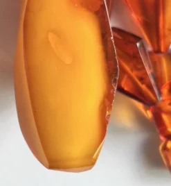 Pamono Vintage Graduated Facet Cut Natural Amber Butterscotch Large Pendant Necklace