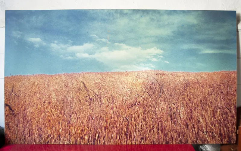 Pamono Vintage Italian La Collina Print by Luigi Ghirri for A. Villani & Figli, 1976