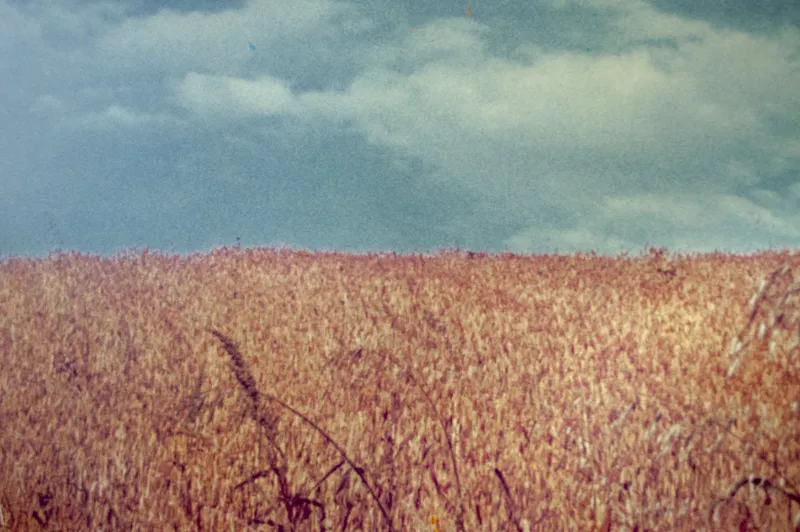 Pamono Vintage Italian La Collina Print by Luigi Ghirri for A. Villani & Figli, 1976