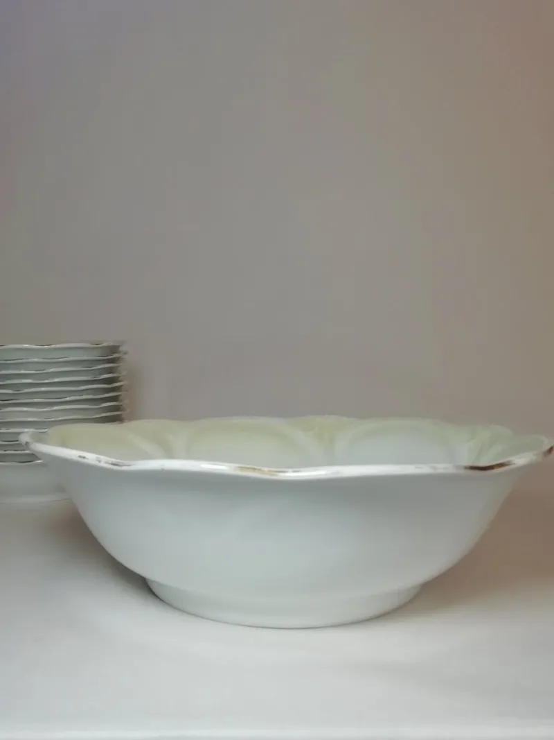 Pamono Vintage Porcelain Tableware Set, 1930s, Set of 13> Dinner Plates & Bowls