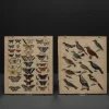 Clearance Pamono Vintage Poster with Butterflies and Snappers by C. Susemihl & Sohn for Okens Publishing House, 1960s, Set of 2