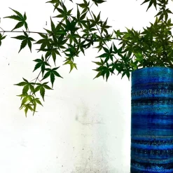 Pamono Vintage Rimini Blue Ceramic Vase by Aldo Londi> Vases