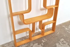 Pamono Vintage Room Divider by Ludvik Volak for Drevopodnik Holesov, 1950s><noscript><img width=