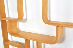 Pamono Vintage Room Divider by Ludvik Volak for Drevopodnik Holesov, 1950s><noscript><img width=