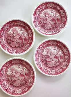Sale Pamono Vintage Rusticana Dinner Plates from Villeroy & Boch, 1970s, Set of 4