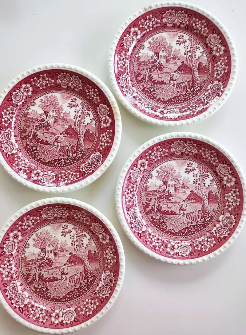 Sale Pamono Vintage Rusticana Dinner Plates from Villeroy & Boch, 1970s, Set of 4