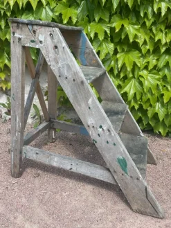 New Pamono Vintage Step Ladder, 1950s