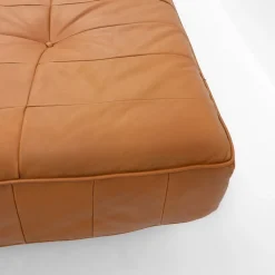 Pamono Vintage Swiss DS-80 Daybed from de Sede, 1970><noscript><img width=
