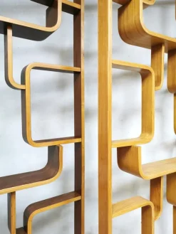 Discount Pamono Vintage Wall Unit by Ludvik Volak for Drevopodnik Holesov