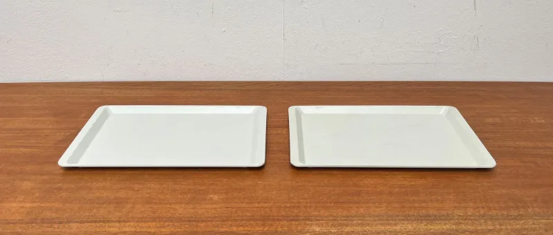Best Pamono Vintage West German Fiberglass Plastic Trays from Presswerk Köngen, Set of 2