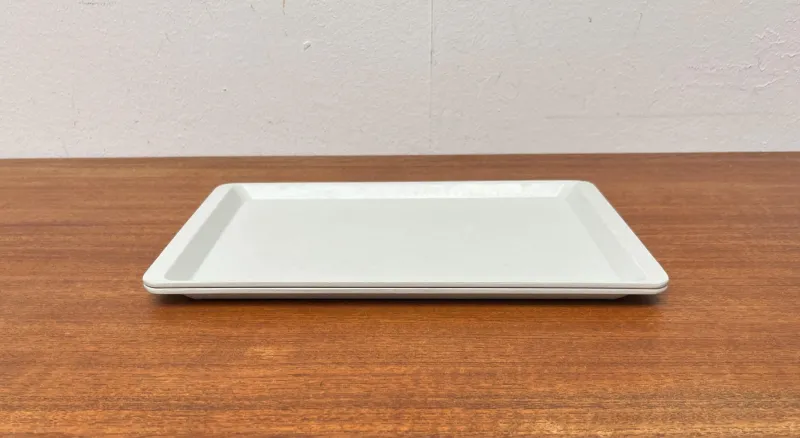 Best Pamono Vintage West German Fiberglass Plastic Trays from Presswerk Köngen, Set of 2