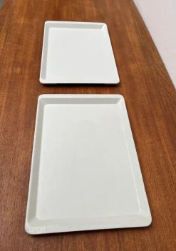 Best Pamono Vintage West German Fiberglass Plastic Trays from Presswerk Köngen, Set of 2