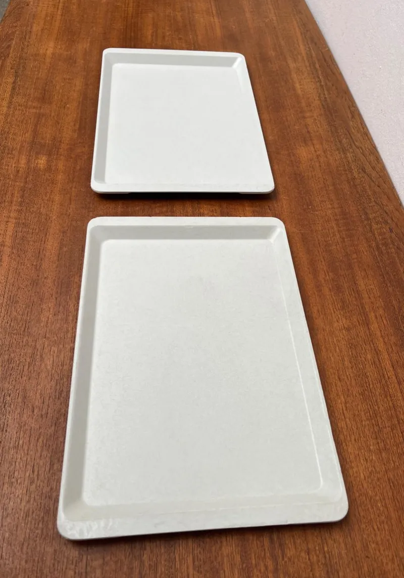 Best Pamono Vintage West German Fiberglass Plastic Trays from Presswerk Köngen, Set of 2