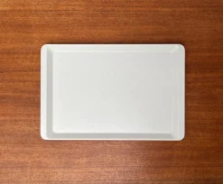 Best Pamono Vintage West German Fiberglass Plastic Trays from Presswerk Köngen, Set of 2