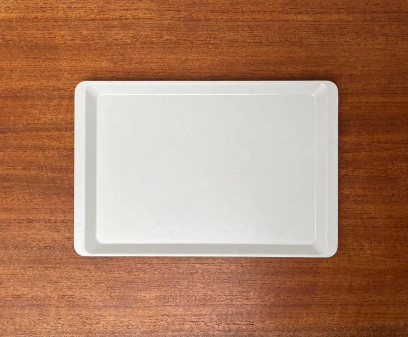 Best Pamono Vintage West German Fiberglass Plastic Trays from Presswerk Köngen, Set of 2