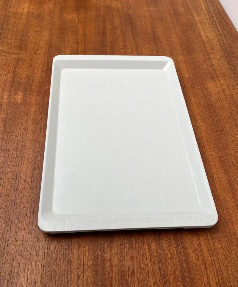 Best Pamono Vintage West German Fiberglass Plastic Trays from Presswerk Köngen, Set of 2