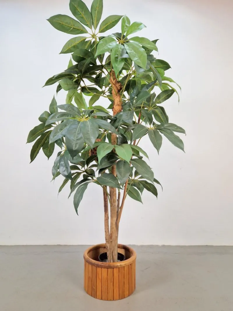 Pamono Vintage Wooden Indoor Planter, 1960s> Planters And Jardiniere