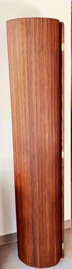 Best Pamono Wall Divider from Baumann, 1950s