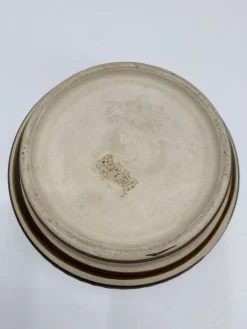 Hot Pamono West German Ceramic Flower Pot, 1950s