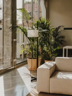 Pamono White and Cherry Wood TMM Floor Lamp by Miguel Milá><noscript><img width=