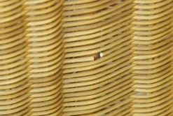 Online Pamono Wicker Bed by Adalberto Dal Lago, 1960s