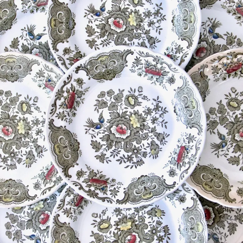 Discount Pamono Windsor Staffordshire Polychrome Plates from Ridgway, 1970s, Set of 10