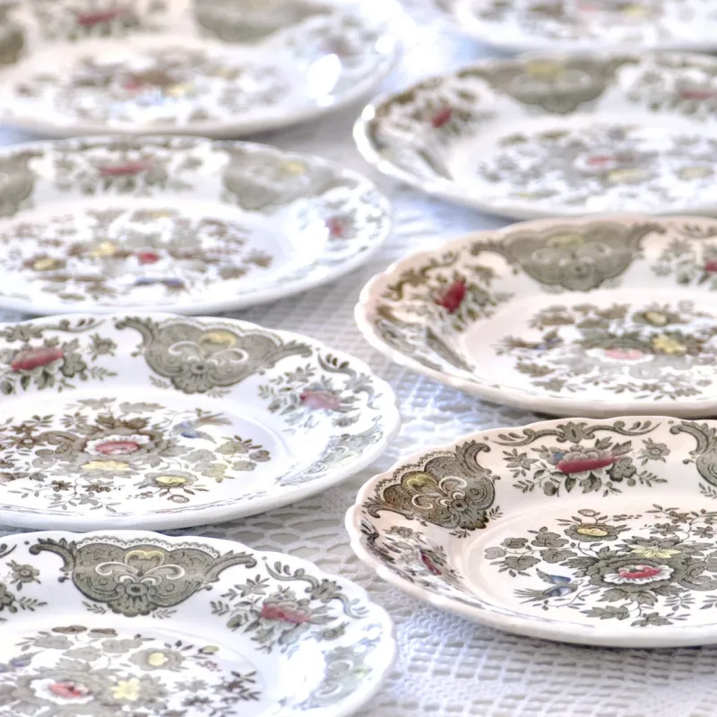 Discount Pamono Windsor Staffordshire Polychrome Plates from Ridgway, 1970s, Set of 10