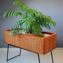 Pamono Wood and Rattan Planter, 1960s><noscript><img width=