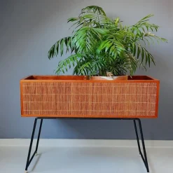 Pamono Wood and Rattan Planter, 1960s><noscript><img width=