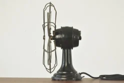 Pamono Wt 22 Table Fan by Peter Behrens for Aeg, Germany, 1909><noscript><img width=